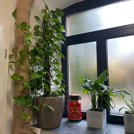 アパート Pfarrgarten *