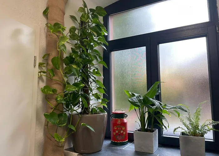 アパート Pfarrgarten *